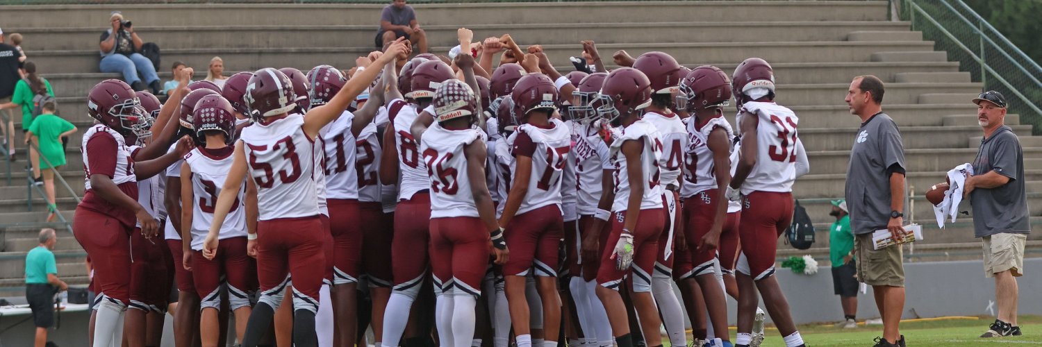 TCS Tiger Nation banner