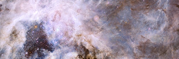 Mariana_S_P's profile banner image