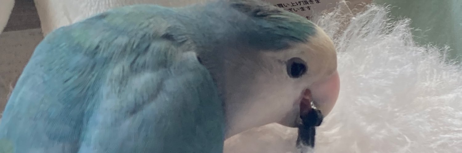 inko628's profile banner image
