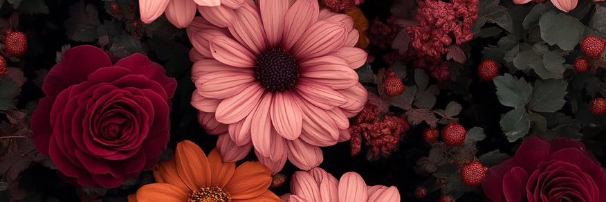Tipsy_Avocado's profile banner image
