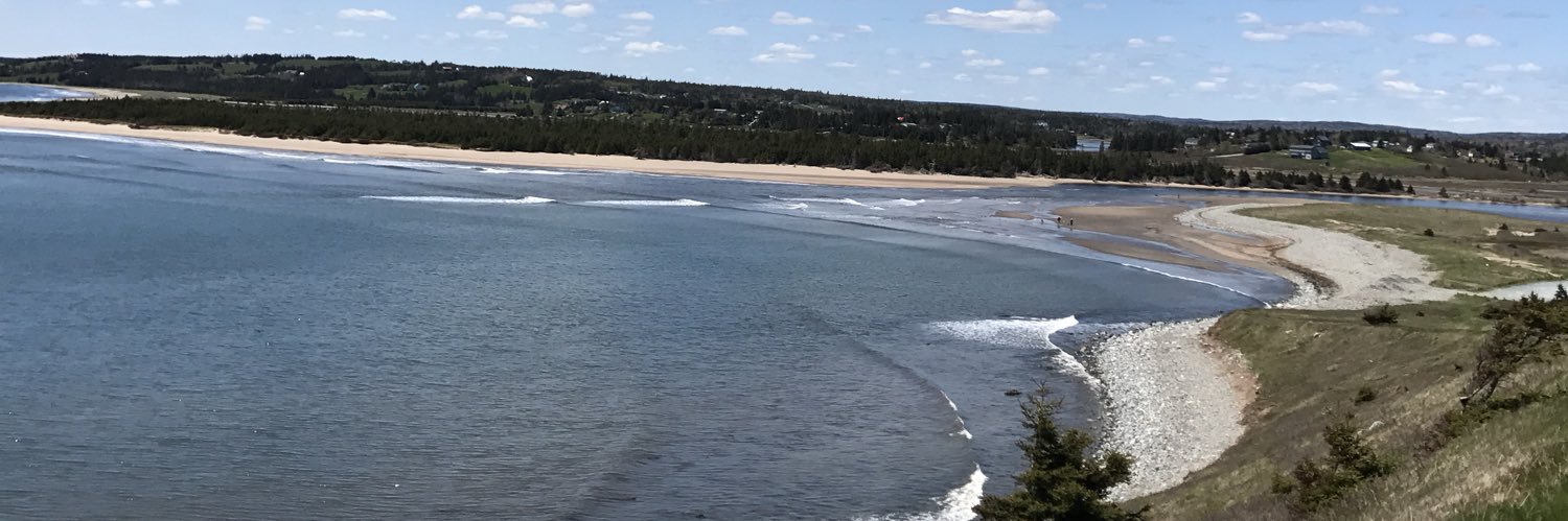 scottysampson's profile banner image
