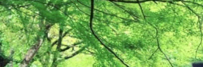 LadyKween's profile banner image