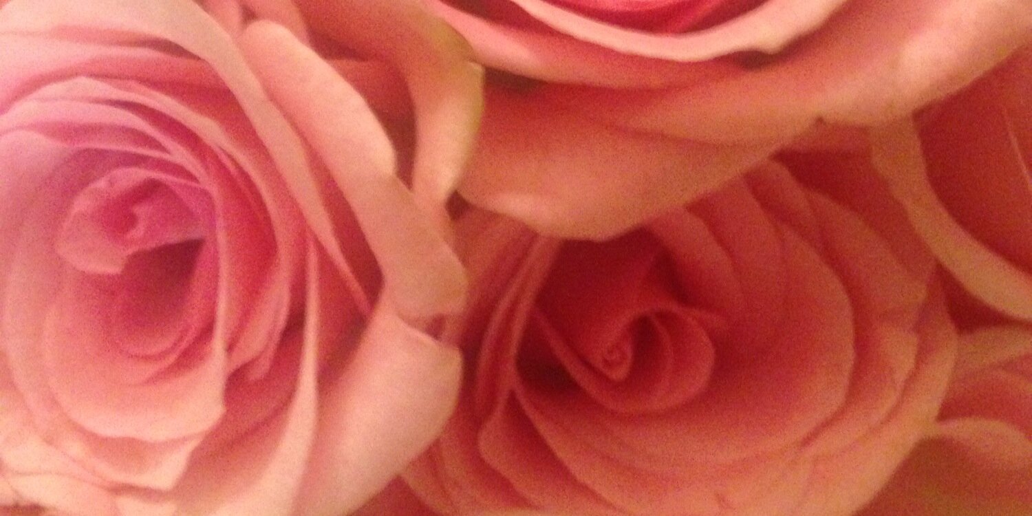nellie_12's profile banner image