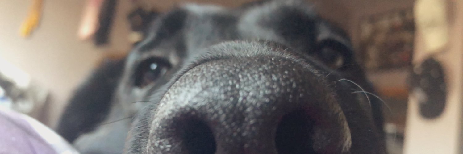 beardoooo's profile banner image
