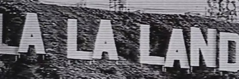 lais's banner