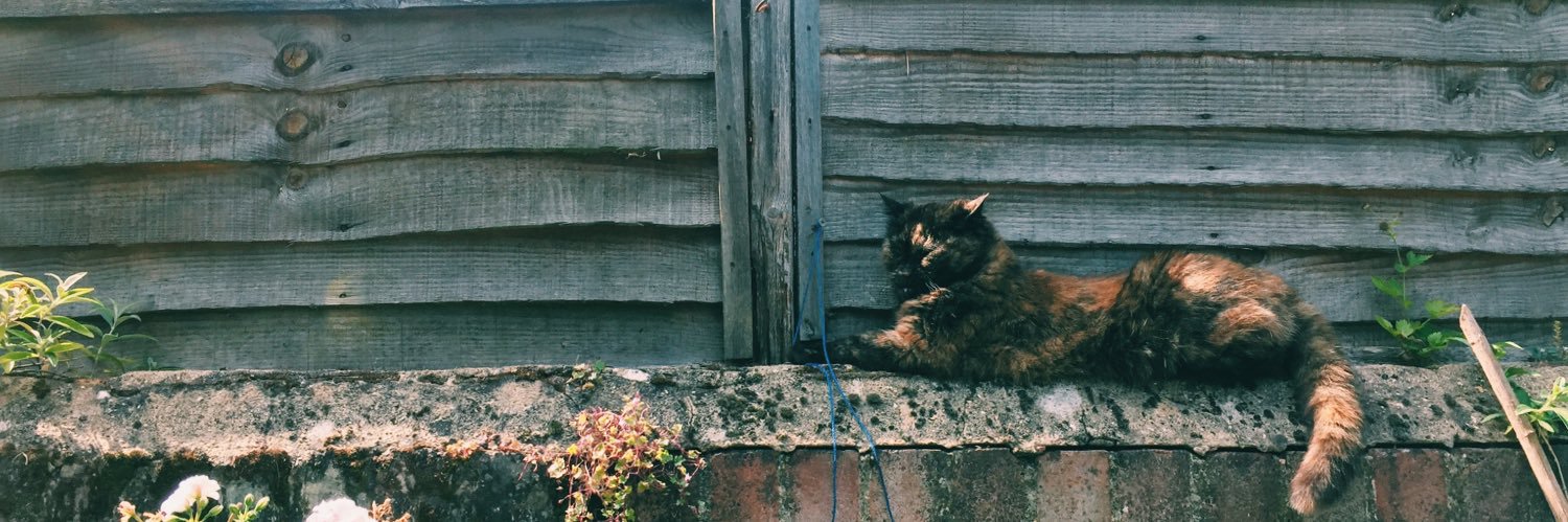 kittttttttttt banner