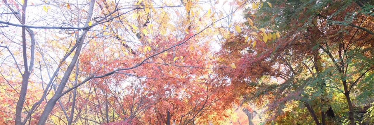 baekhyuneex_'s profile banner image