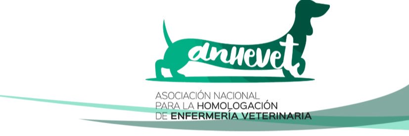 anhevet's profile banner image