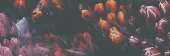 MorganneBrooke's profile banner image