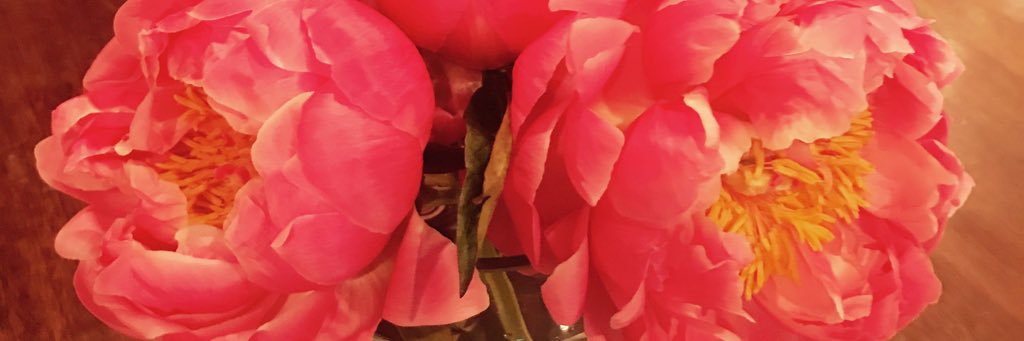 AChisomFloral's profile banner image