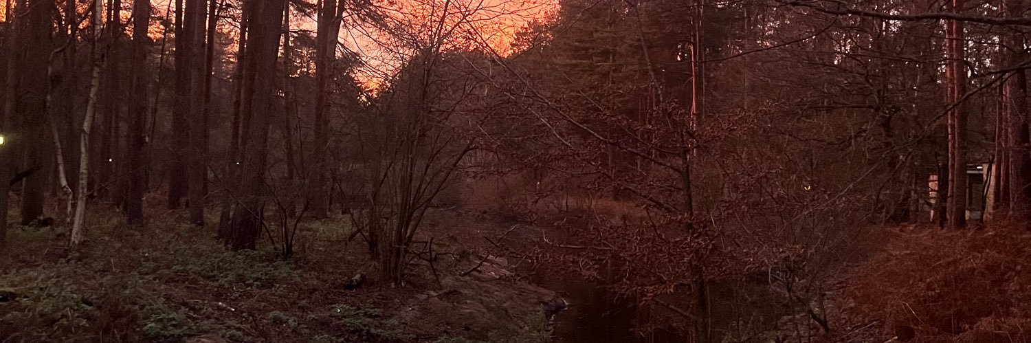 allyblackmanX's profile banner image