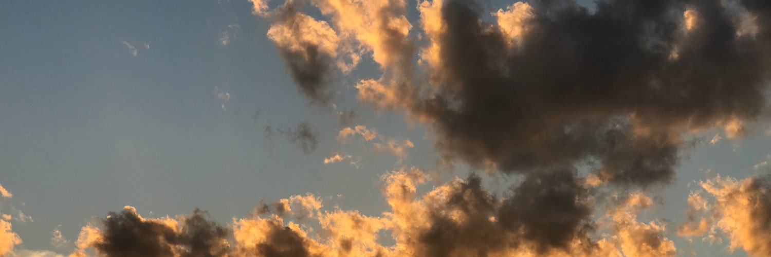 daisychild's profile banner image