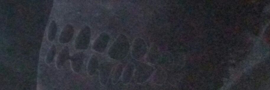 Lilozduece's profile banner image