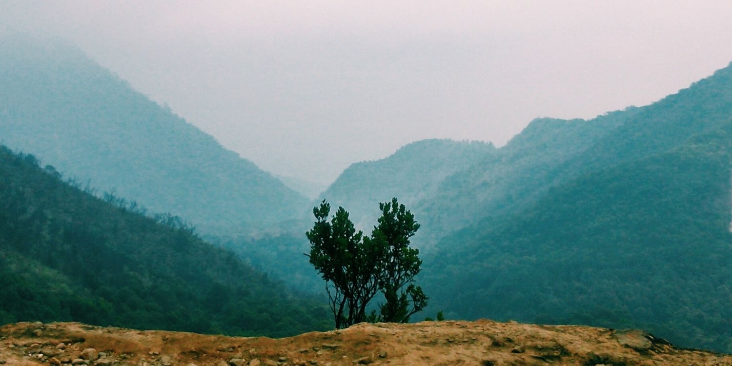 anisarhmwt's profile banner image