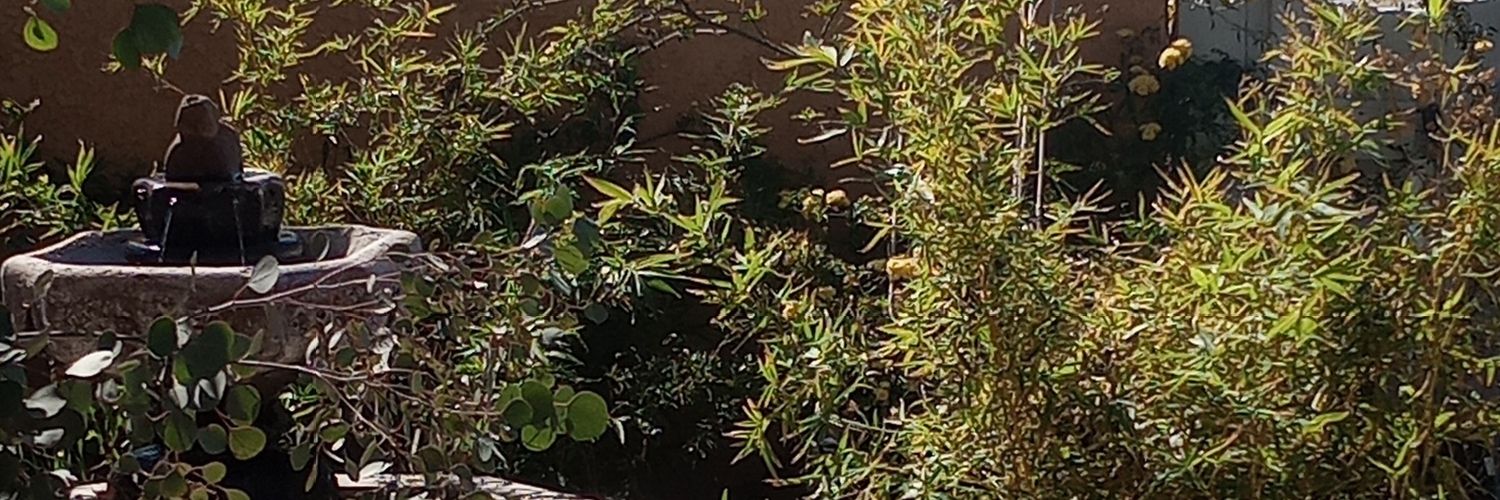 ClayStephens's profile banner image