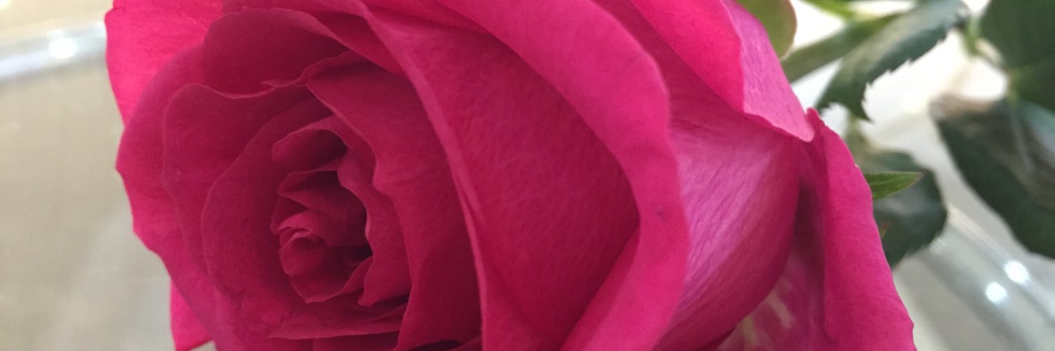 loojin7looh's profile banner image