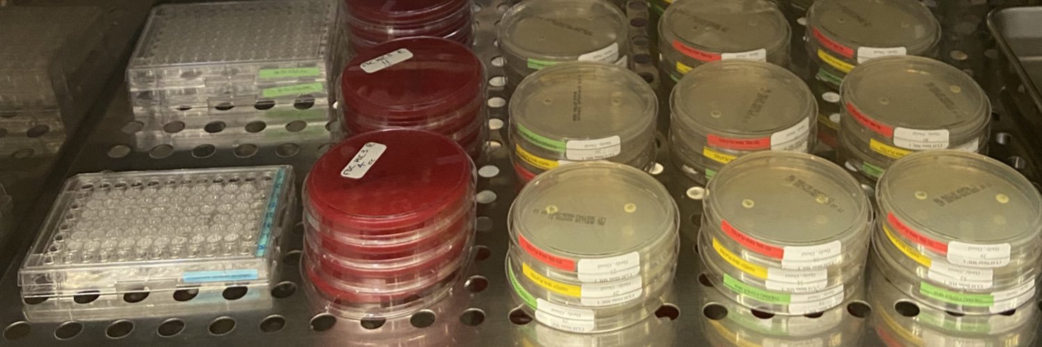 Andrew Fratoni banner