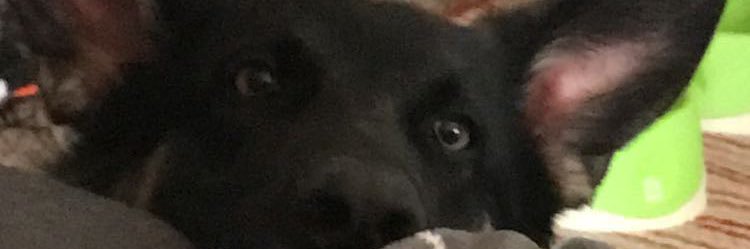 Dylan_Gordon25's profile banner image