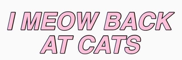 kindra_cap's profile banner image
