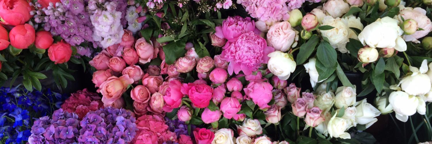 amay922's profile banner image