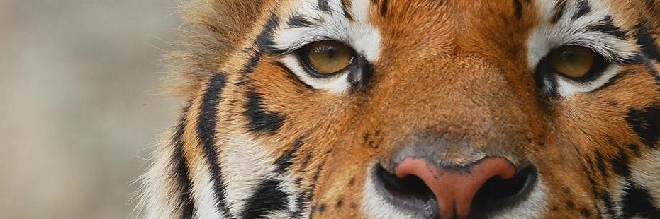 AMGphoto74's profile banner image