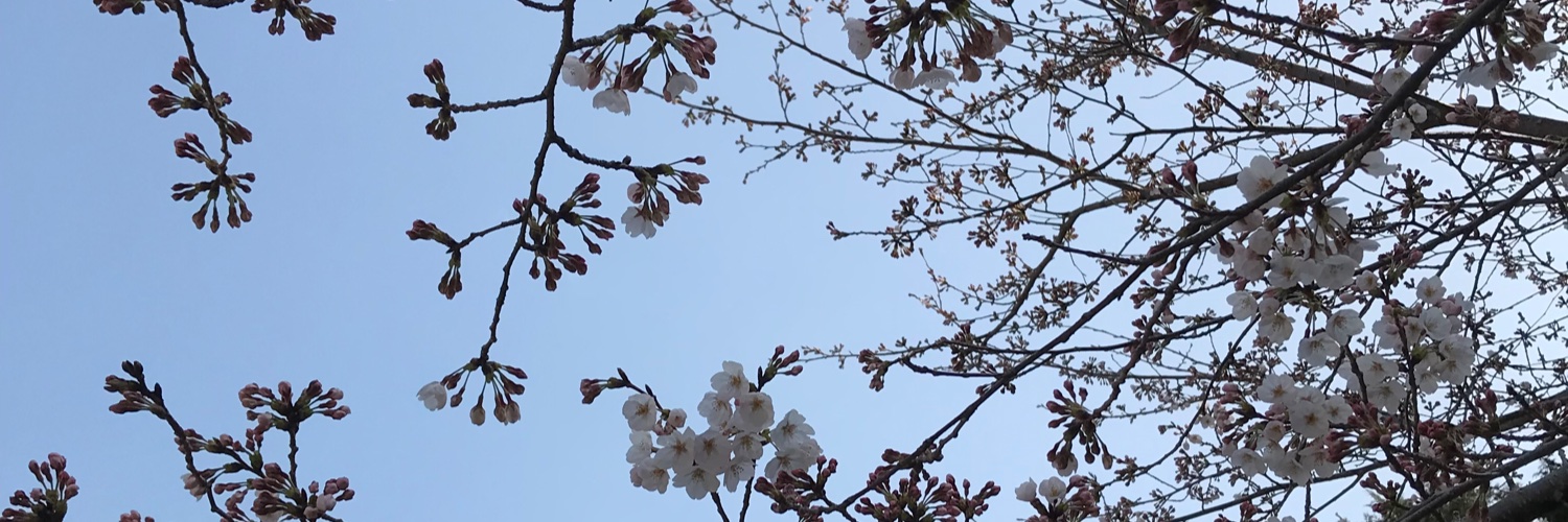 h_kishihara's profile banner image