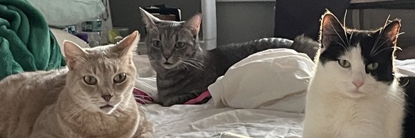 chrissywhite71 Profile Banner