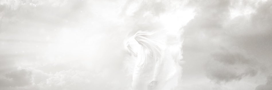 sultanah8888's profile banner image