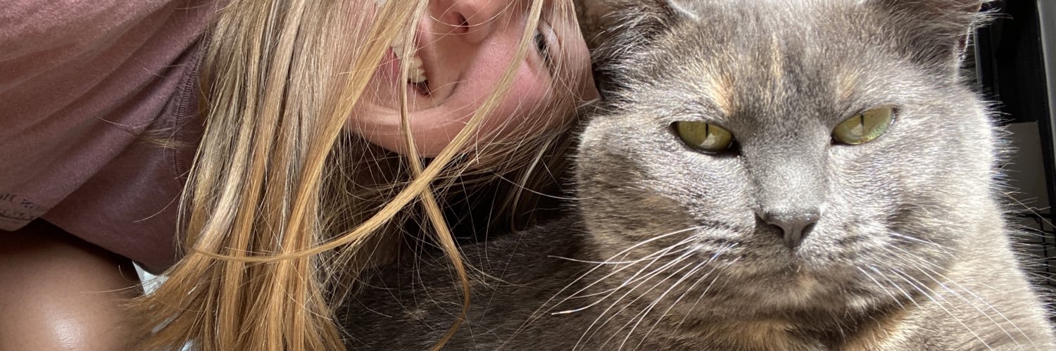 marissaevenson's profile banner image