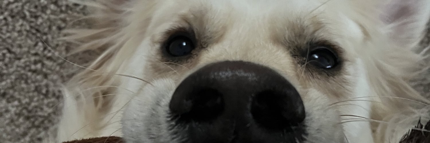 Andrew Palazzolo banner