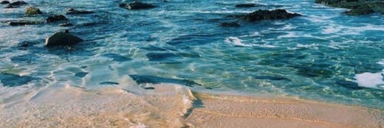 crose0801's profile banner image