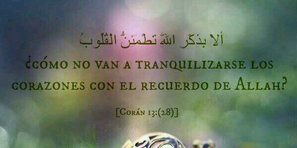 islampanama's profile banner image
