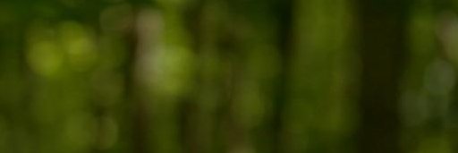 Bernabé Fernández banner