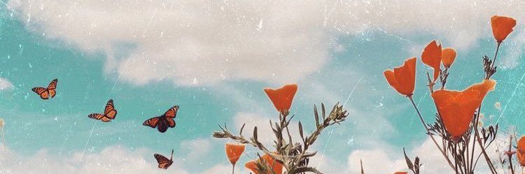 taylorefon's profile banner image