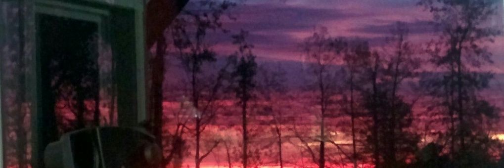brenmcgrew's profile banner image