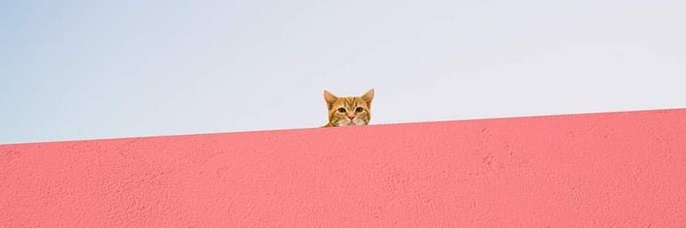 tbyesi's profile banner image