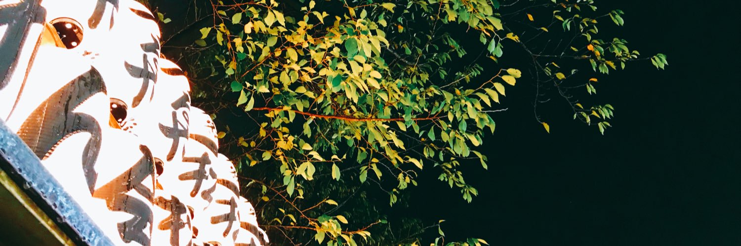 whaoAnon's profile banner image