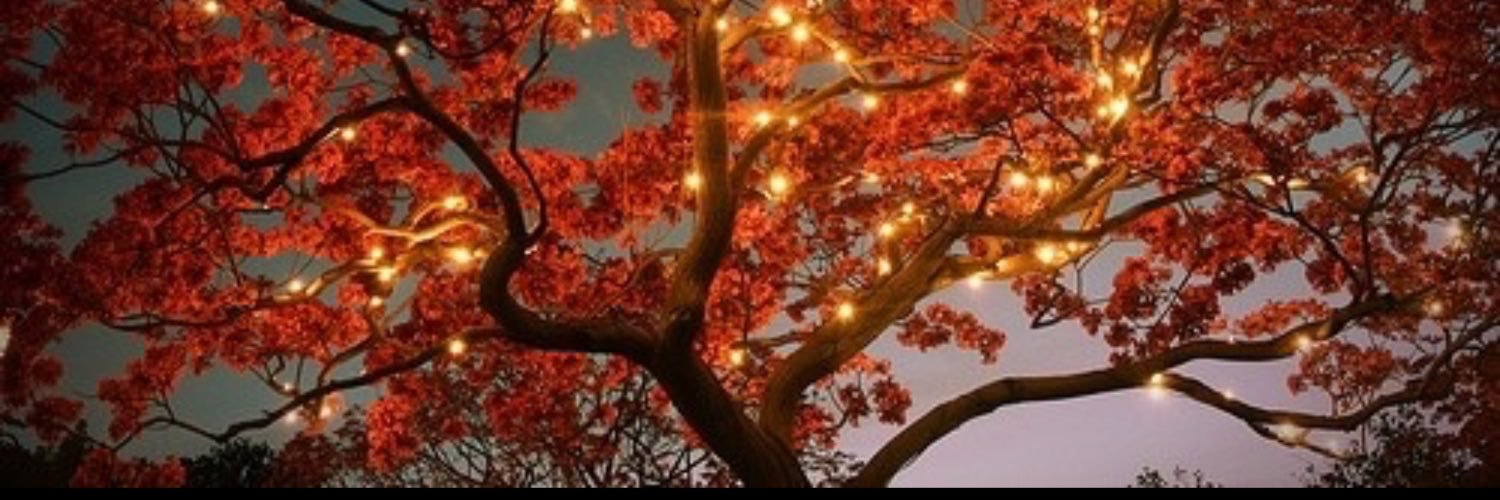 jack_ford3's profile banner image