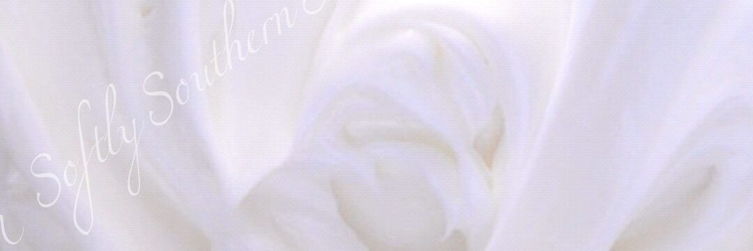 softlysouthern1's profile banner image