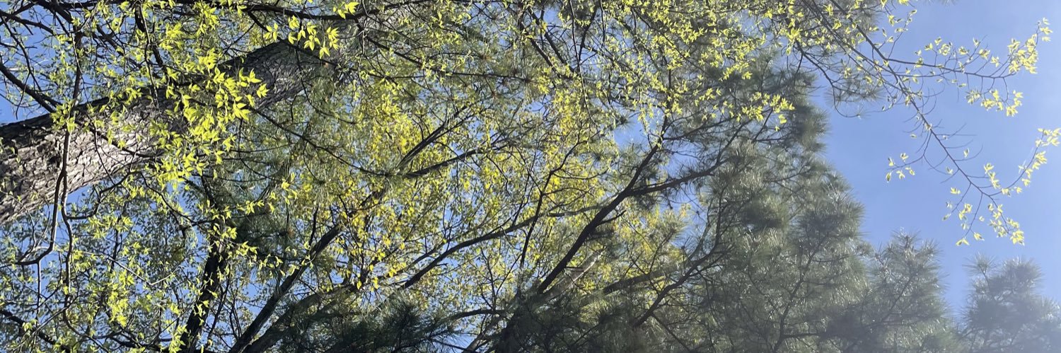 emillyalllison's profile banner image