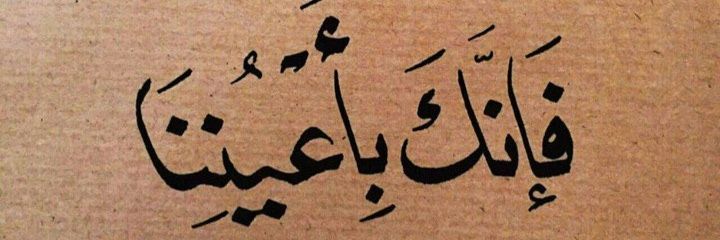 zaineb_b_k's profile banner image