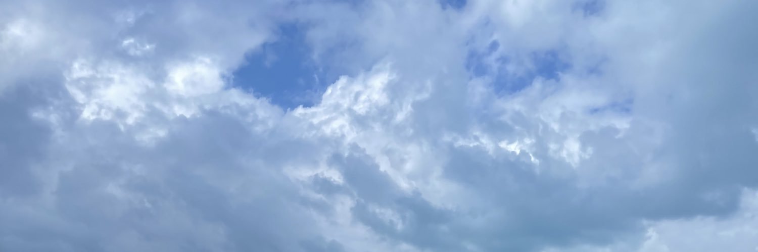 michellleliu's profile banner image