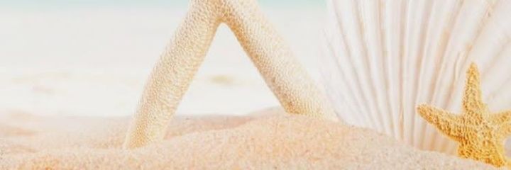 sonitapariel's profile banner image