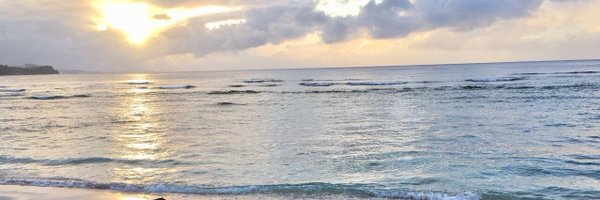 ann_baleto Profile Banner