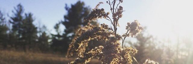 emmaruth212's profile banner image