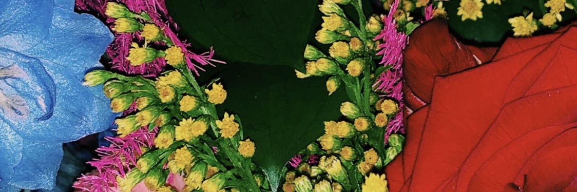 Iamtherodzilla's profile banner image