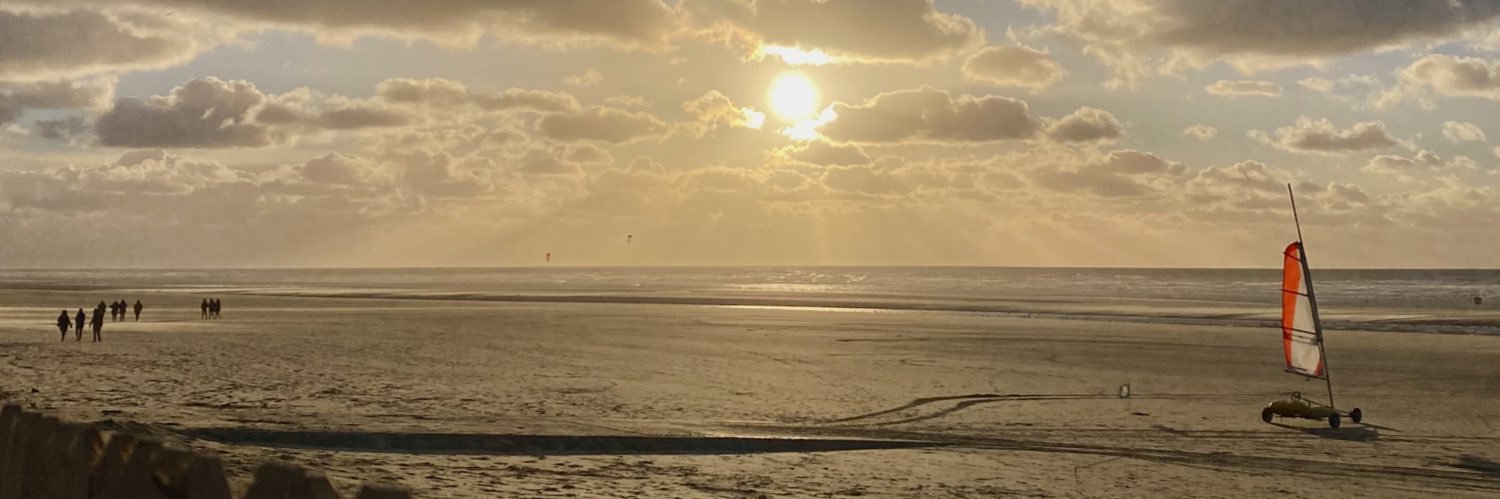 ldepauline's profile banner image