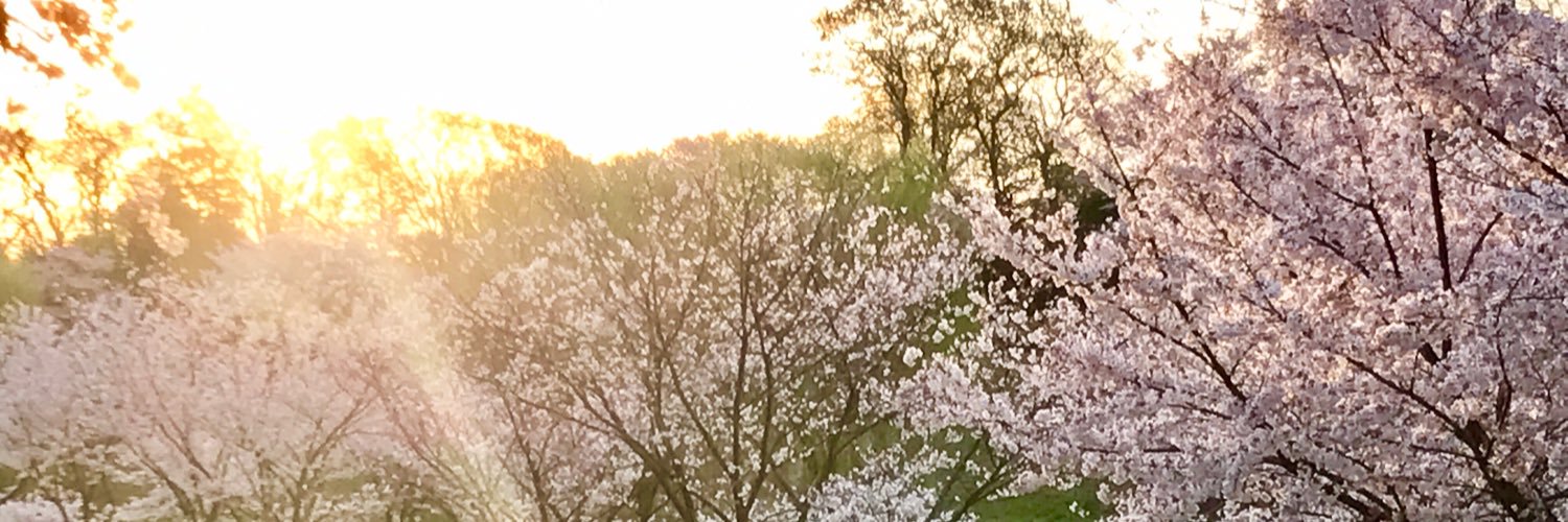 mary41245388's profile banner image