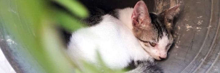 me🐞 banner