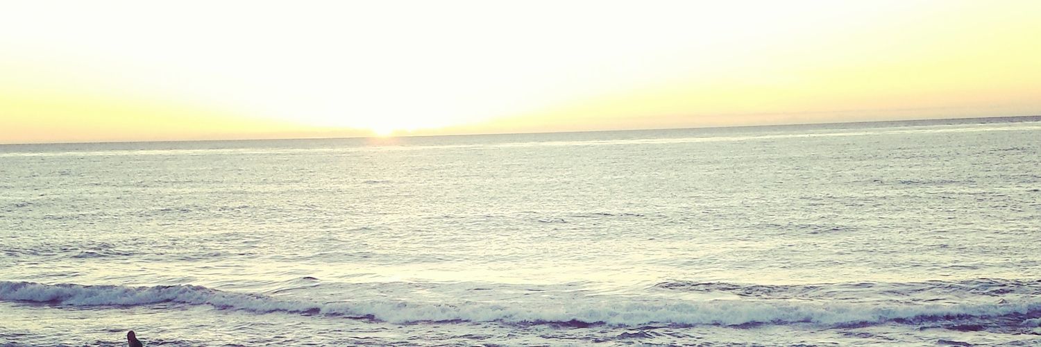 stephy_fishy's profile banner image